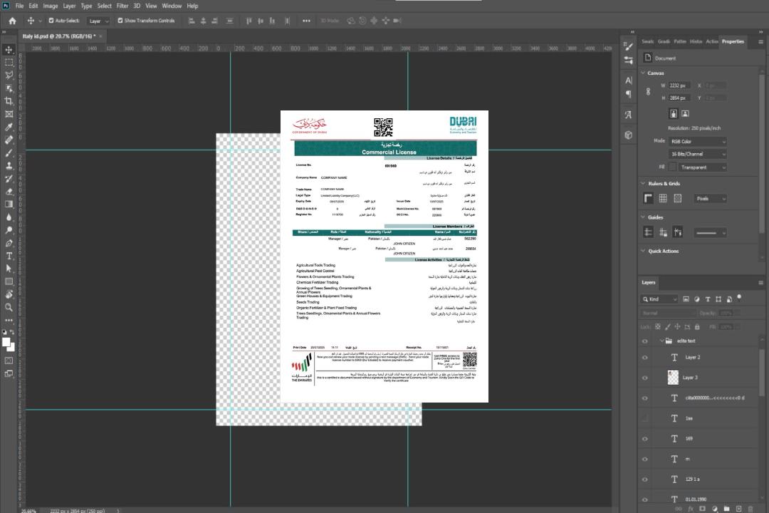 Modèle Word et PDF de licence commerciale des Émirats arabes unis Dubaï, version 2 template